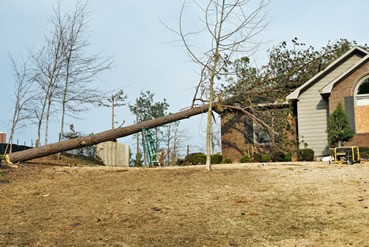 Storm Damage